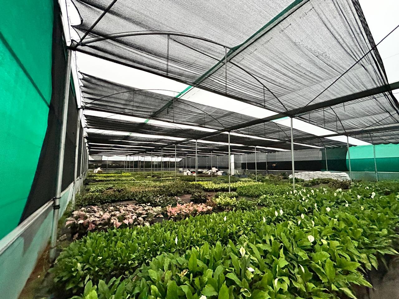 Production facility